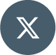 x icon